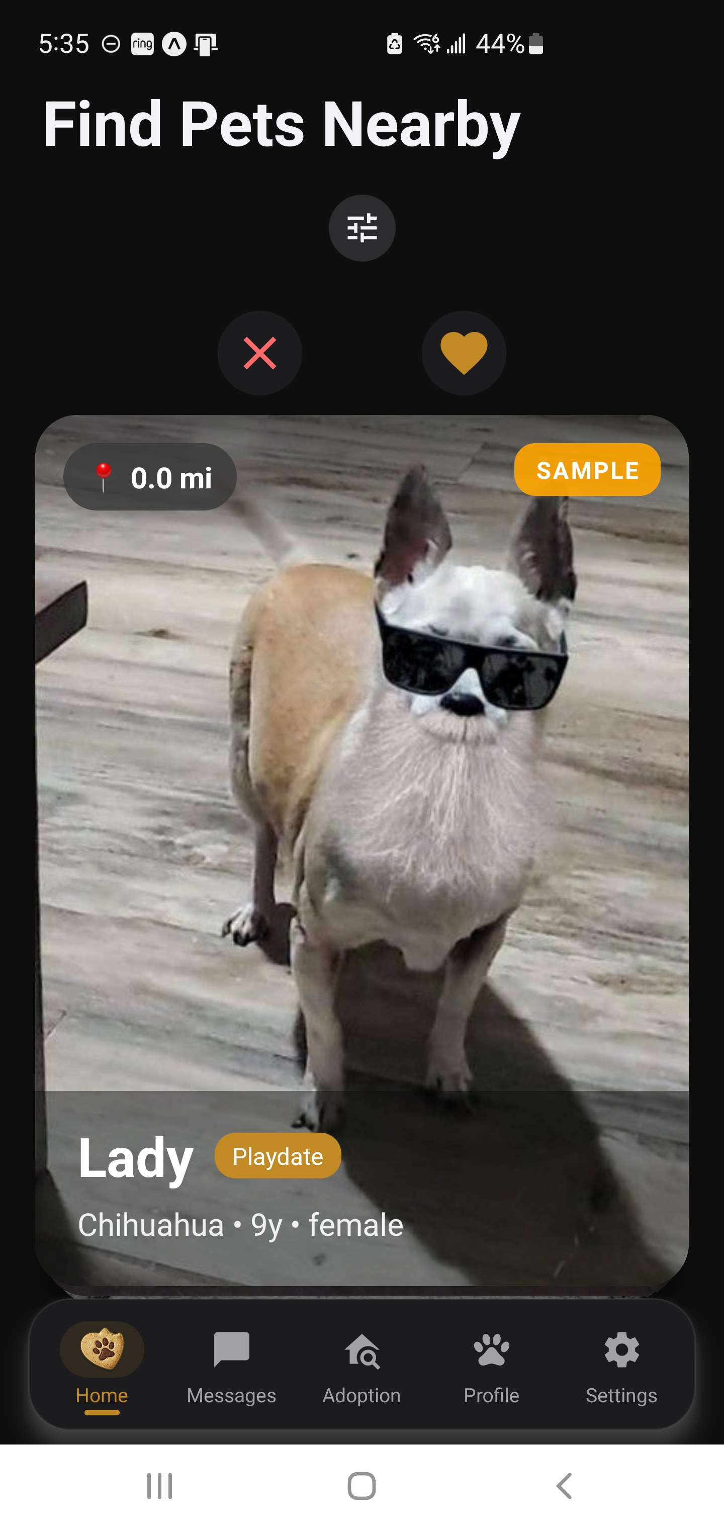 Biskit.Pet App - Swipe to find pets nearby